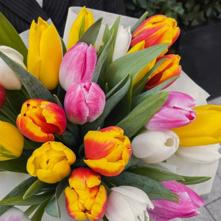 Spring Harmony